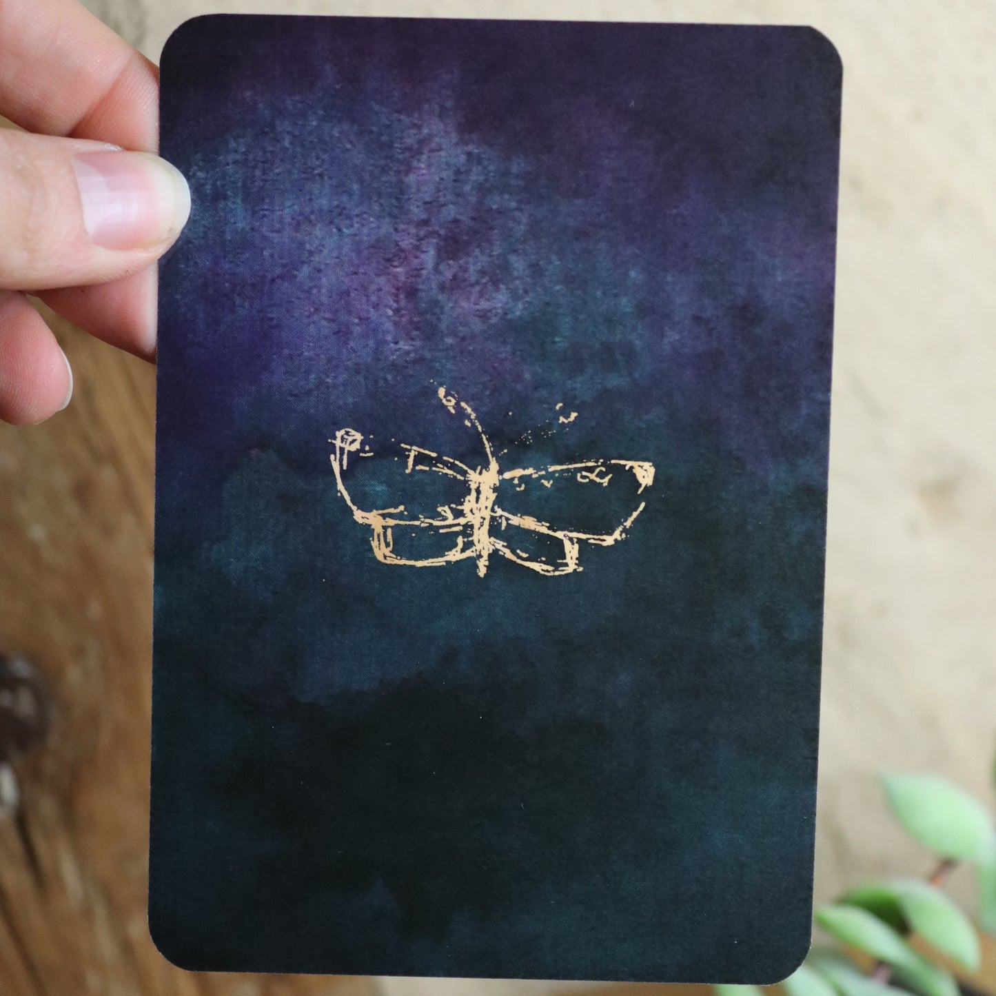 Rückseite Metamorphose Deck mit Schmetterling